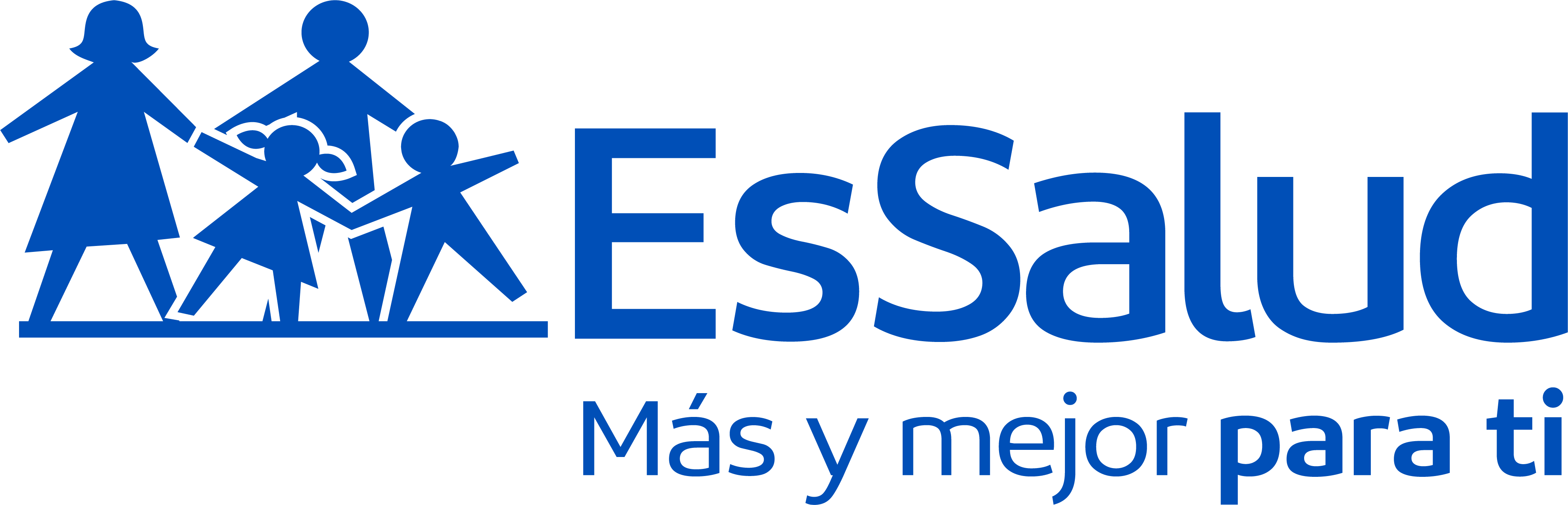 Descripción de la foto 4